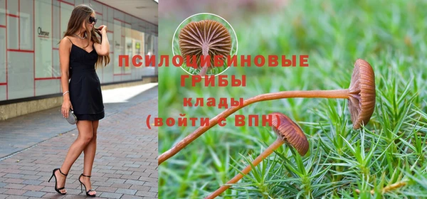 spice Белоозёрский