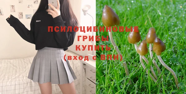меф Белокуриха